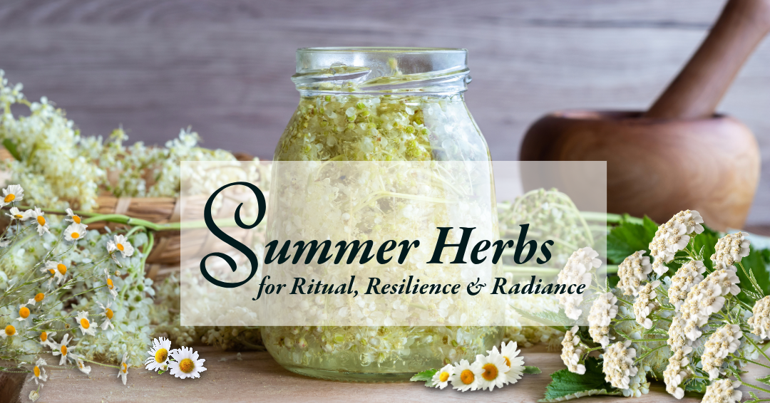 Summer Herbs for Ritual, Resilience & Radiance