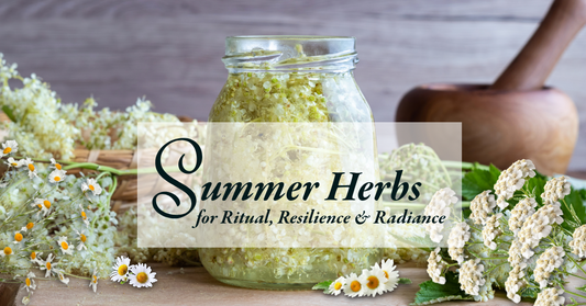 Summer Herbs for Ritual, Resilience & Radiance