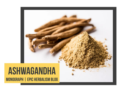 Herbal Monograph: Ashwagandha (Withania somnifera)