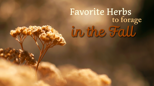 Favorite Herbs to Harvest in the Fall