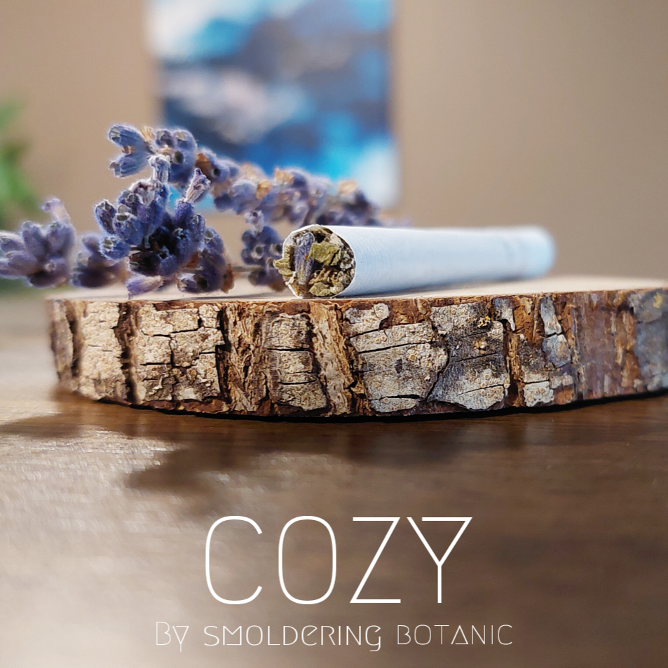 Cozy Herbal Blend | 12 count
